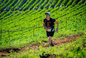 BIB: 
                            <button type="button" onclick="openModal(19161856)" class="btn btn-primary btn-sm float-right btn-popup" data-toggle="modal" data-target=".modal-high-quality">
                        <i class="fas fa-shopping-cart"></i> Add to Cart
                    </button>
                                            <button type="button" onclick="isThisMe(19161856, true)" class="btn btn-success btn-sm float-right btn-popup btn-isme hidden" data-toggle="tooltip" data-placement="bottom" title="นี่คือรูปของคุณใช่ไหม คลิกที่นี่เพื่อเอาเข้าอัลบั้ม">
                        <i class="fas fa-plus"></i> Add to album
                    </button>
                    <button type="button" onclick="isThisMe(19161856, false)" class="btn btn-warning btn-sm float-right btn-popup btn-isnotme hidden">
                        <i class="fas fa-ban"></i> Remove from album
                    </button>